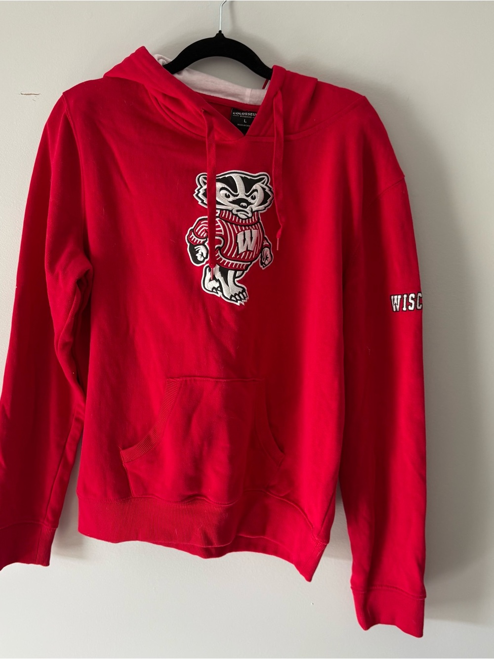 UW -Wisconsin Red Bucky Badger Hoodie